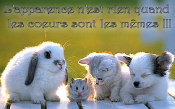 trop mimi