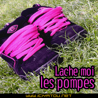 TA COMPRIS