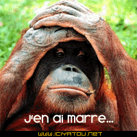 je ve d com's